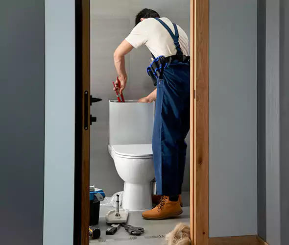 Professional Plumbers for Toilet Bowl Replacement in Lake Grove, NY: Schedule Affordable Toilet Replacement Services With Us