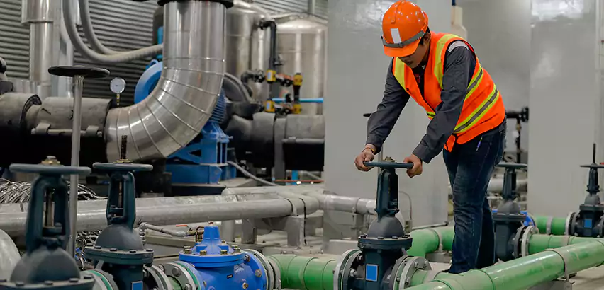 Top-Notch Trenchless Sewer Line Repair Services in Lake Grove, NY.