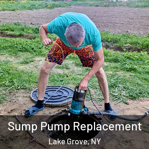  Sump Pump Replacement Lake Grove, NY